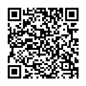 除此之外还活动着各种只有地底冥界才会存在的鬼兽二维码生成