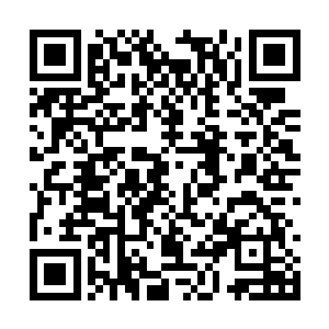 除非五宝以上的仙宫才能做到和这个世界完美融合二维码生成