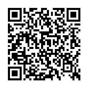 除非他愿意保柳蔓而眼睁睁看着自家兄弟被凌迟二维码生成