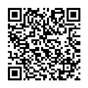除非你拿出的你的主人的参赛骨器已经经过骨器师协会认证二维码生成