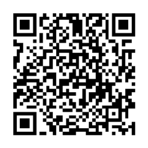 除非你有绝对的实力能让所有人都忽略这两样的存在二维码生成