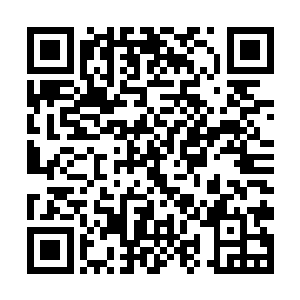 除非你每天都不停杀戮空运过来的其他刑徒……注意二维码生成