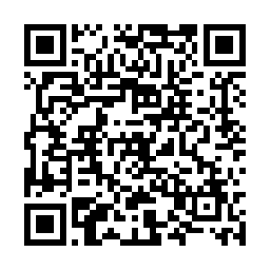 除非修士对自己突破下一个境界的把握是百分之百二维码生成