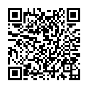 除非唐门的人愿意走出这一片隐居了数百年的大山二维码生成