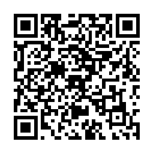 除非少年在此期间发生什么意外无法正常参加比赛二维码生成