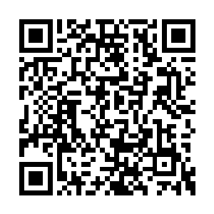 除非张潇晗祭出狄小言送给她的龙血炼制的符箓二维码生成