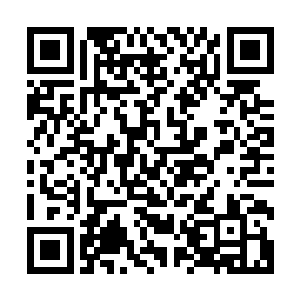 除非愤怒拥有着比掌握了灵魂大道法则的自己更强的灵魂力量二维码生成