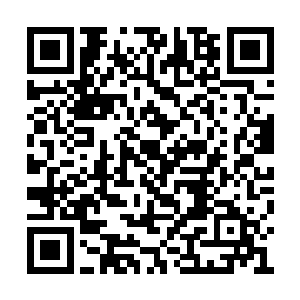 除非我们张家的人一辈子都窝在内城之中不出去二维码生成