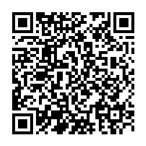 除非我们能把她给秒了……请注意这种可能是微乎其微的……否则二维码生成