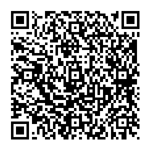 除非拥有像蛮乱之地巫谷这等充满着上古时代最顶级人物的血气之地或者上古时代遗留在下界的顶级仙府二维码生成
