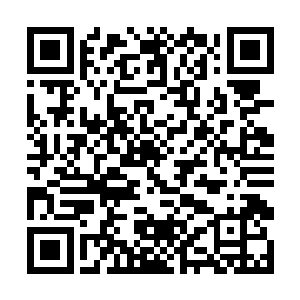 除非是专业的特种部队才会去专门的苦练这种军体拳二维码生成