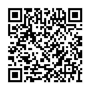 除非是他被人用刀子捅中心脏直接心跳停止而死二维码生成