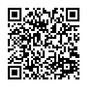 除非是像久远前太猛的种族才会出现退化什么的二维码生成