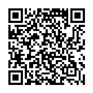 除非是像恶鬼皇那样掌控了灵魂大道法则的顶级强者二维码生成
