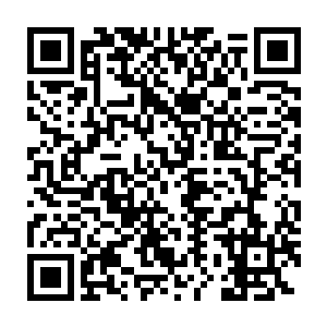 除非是在这个森林里面迷失了方向的人才会误打误撞的来到这里吧二维码生成