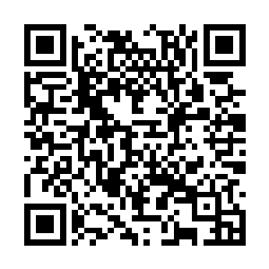 除非是让众人知道此人与王妃没关系却又不得不赎二维码生成