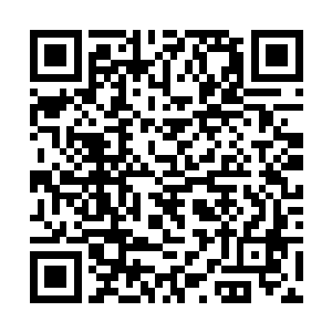 除非有一天国家能让所有军队想加强训练就加强训练二维码生成