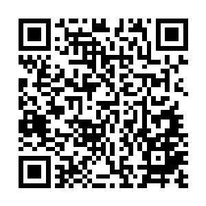除非有大量伪王主或者王主级强者亲自出手才有可能打破二维码生成