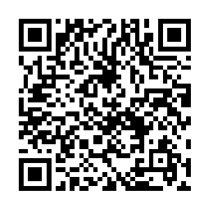 除非有返虚两层境以上的武者亲自细细查探汪玉晗的识海二维码生成