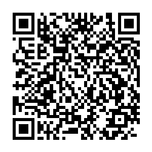 除非海底的一些妖族早就已经觊觎黑蛟一族守护的妖族圣地很久了二维码生成