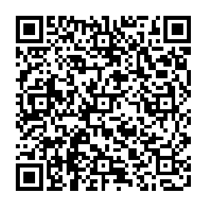 除非艺人有能力像马龙一白兰度或者伍迪一艾伦那样用绝对实力说话一即使是马龙二维码生成