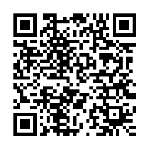 除非诸位同僚能够帮我在二十天之内将大军所需的物资准备好二维码生成