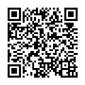 除非这个第一实力自上一次排名战之后有所进步二维码生成