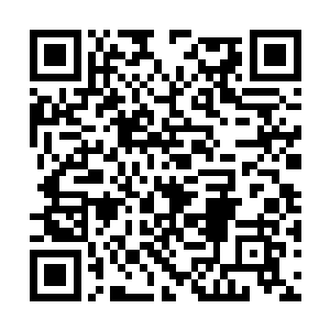 除非这艘飞船的智能隐瞒了飞船上的真正武器储备二维码生成