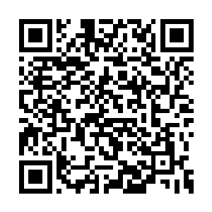 陨落在龙傲天手中的幽家和冥家的高手也有不少二维码生成