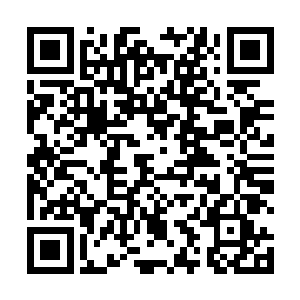 陨落红莲已经一把夺过金凤天沙咔嚓咔嚓就给吃干净了二维码生成