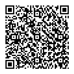 陪同前来参加抱朴斋开业典礼及抱朴斋第一次秋季艺术品拍卖会的省委省政府及省直几个单位的领导来到了抱朴斋二维码生成