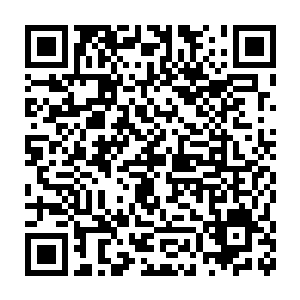 陪着他一起读书的两个书童却说这凤子皓根本就没到云麓书院去求学二维码生成