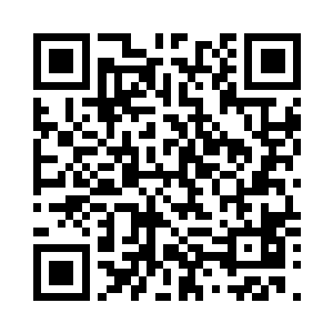 陪着家人等待此城的新主人出现罢了二维码生成