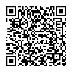 陪着张大师一起走来的是一位眉宇间跟董思思有些相似的中年男子二维码生成