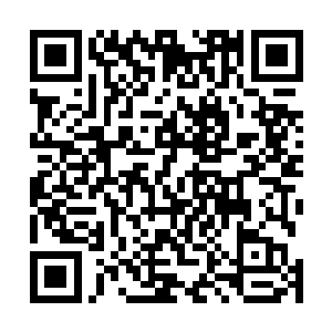 陪着沈婉瑜回到更衣间更换与头上发钗相配套的曲裾深衣二维码生成