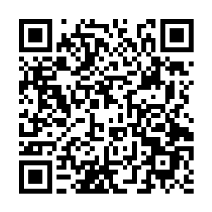 陶园园的情感仿佛是在那一瞬间彻底的释放了一样二维码生成