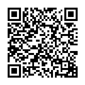 陶园园瞧见自己的妈妈在村里的威望如此之高也非常的开心二维码生成