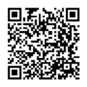 陶妙仙拉着他的那截衣袖竟被他自己的真气撕裂开来二维码生成