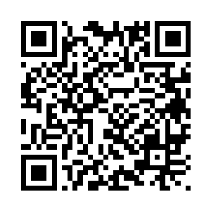 陶家也算是一个不大不小的家族了二维码生成