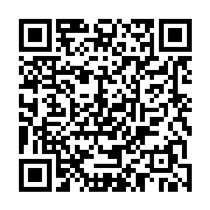 陶家联盟的人目前共有多少名十五星级以及十六星级强者二维码生成