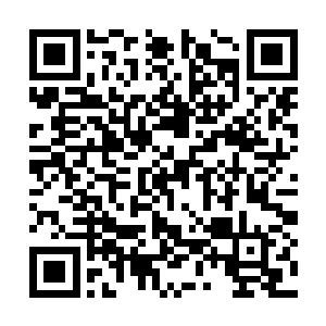 陶正霖自然能够听的到陶宗明在议事大厅里说的话二维码生成