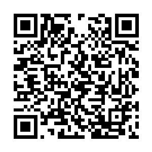 陶氏偏巧就是事无巨细凡事都要追根问底的那种人二维码生成