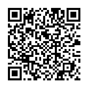 陶美佳之所以要去参加这次的同学聚会除了适逢其会之外二维码生成