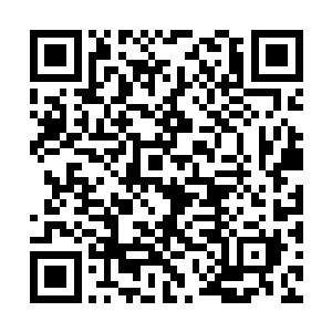 陶美佳也没有想到自己的表姐居然这么快就出来了二维码生成