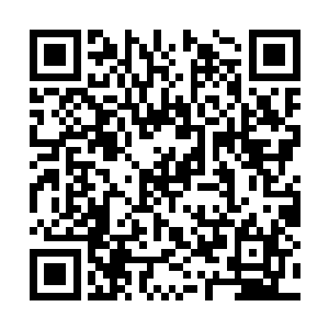 陶美佳可是说了要给吴虎臣炖点汤给好好的补补呢二维码生成