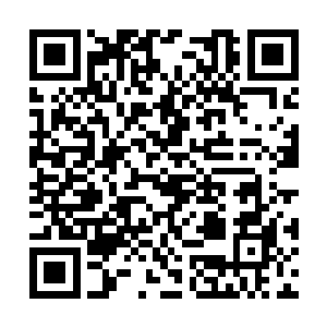 陷入失明慌乱的守卫和参赛者在视力逐渐恢复之后二维码生成