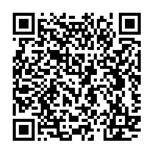 隆俊谦只需要十多天一个月的功夫就能够彻底稳定天阶十星初期境界的话二维码生成