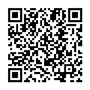 隋炀帝当年修建那条运河的目的就是为了东南的财富和粮食二维码生成