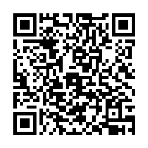 隋立媛觉得自己已经无法用简单寻常的言语来形容二维码生成