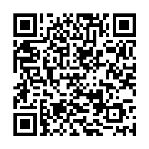 随便一个龙套演员的样版出演合同通常都有数十页二维码生成